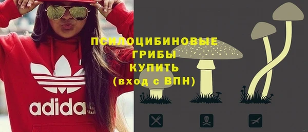 винт Баксан